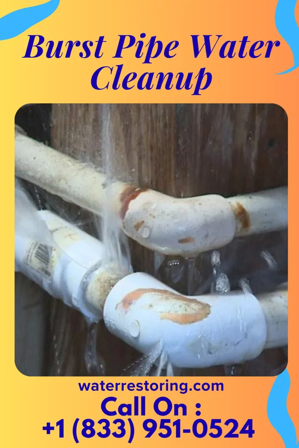 Burst Pipe Water Cleanup in Manzano Springs, NM