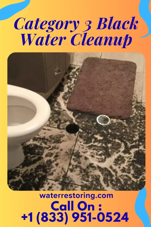 Category 3 Black Water Cleanup in Manzano Springs, NM