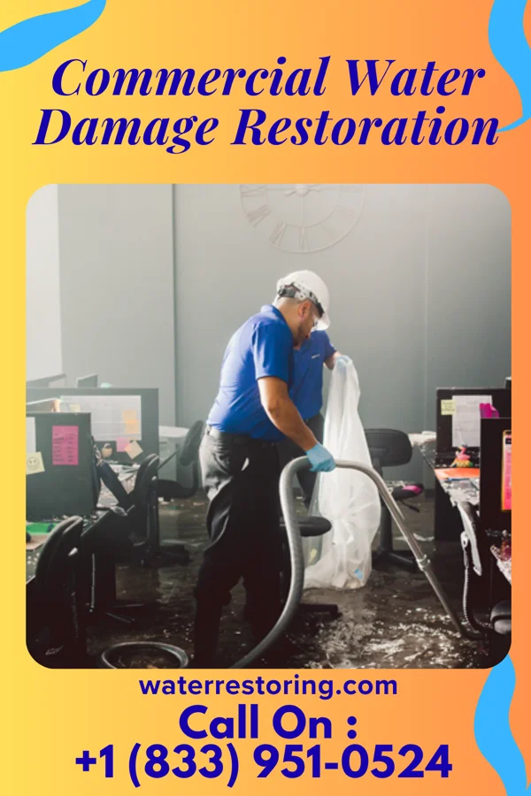 Commercial Water Damage Restoration in Manzano Springs, NM