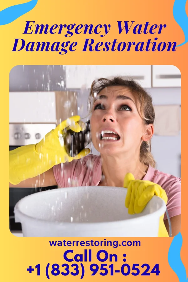 Emergency Water Damage Restoration in Manzano Springs, NM